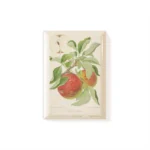 Magnet Apple