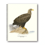 Skrivbok Havsörn 21x26 CM