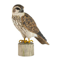 DecoBird Merlin