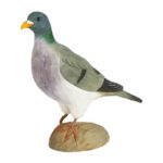DecoBird Stock Dove