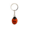 Keyring Ladybird