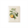 Magnet Lemon