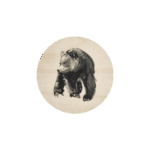 Teemu Järvi coaster Bear