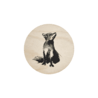 Teemu Järvi coaster Fox
