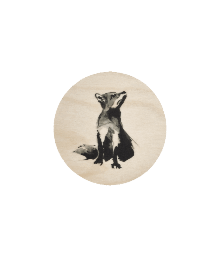 Teemu Järvi coaster Fox