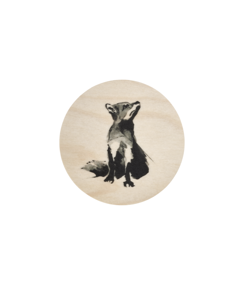 Teemu Järvi coaster Fox