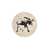 Teemu Järvi coaster Moose