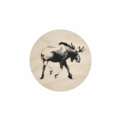 Teemu Järvi coaster Moose