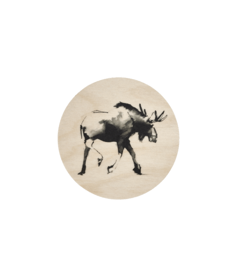 Teemu Järvi coaster Moose