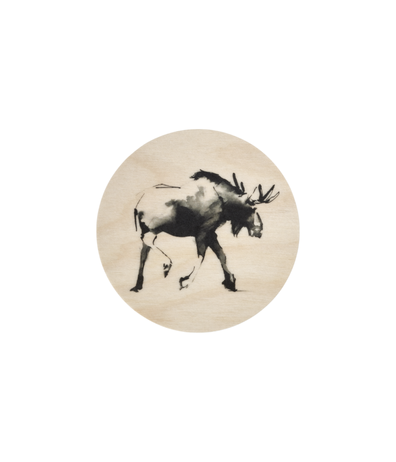 Teemu Järvi coaster Moose