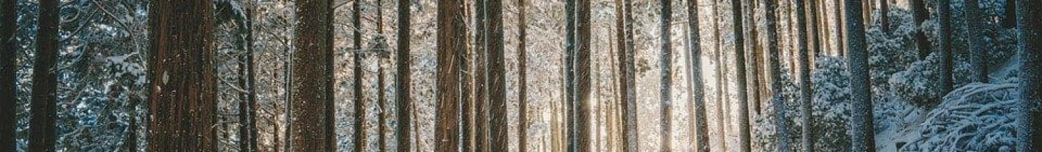 landscape-6887936_960_720